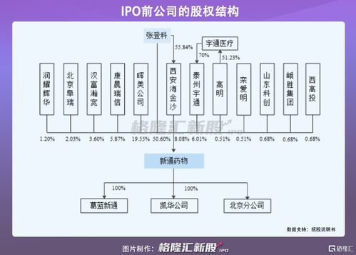 新通藥物沖刺科創板 尚未盈利的創新藥企，授權與合作開發模式下的機遇與挑戰